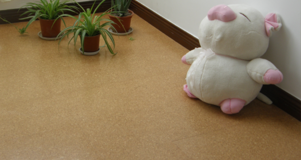 軟木地板的優(yōu)勢(shì)是什么，中林帶你了解一下！